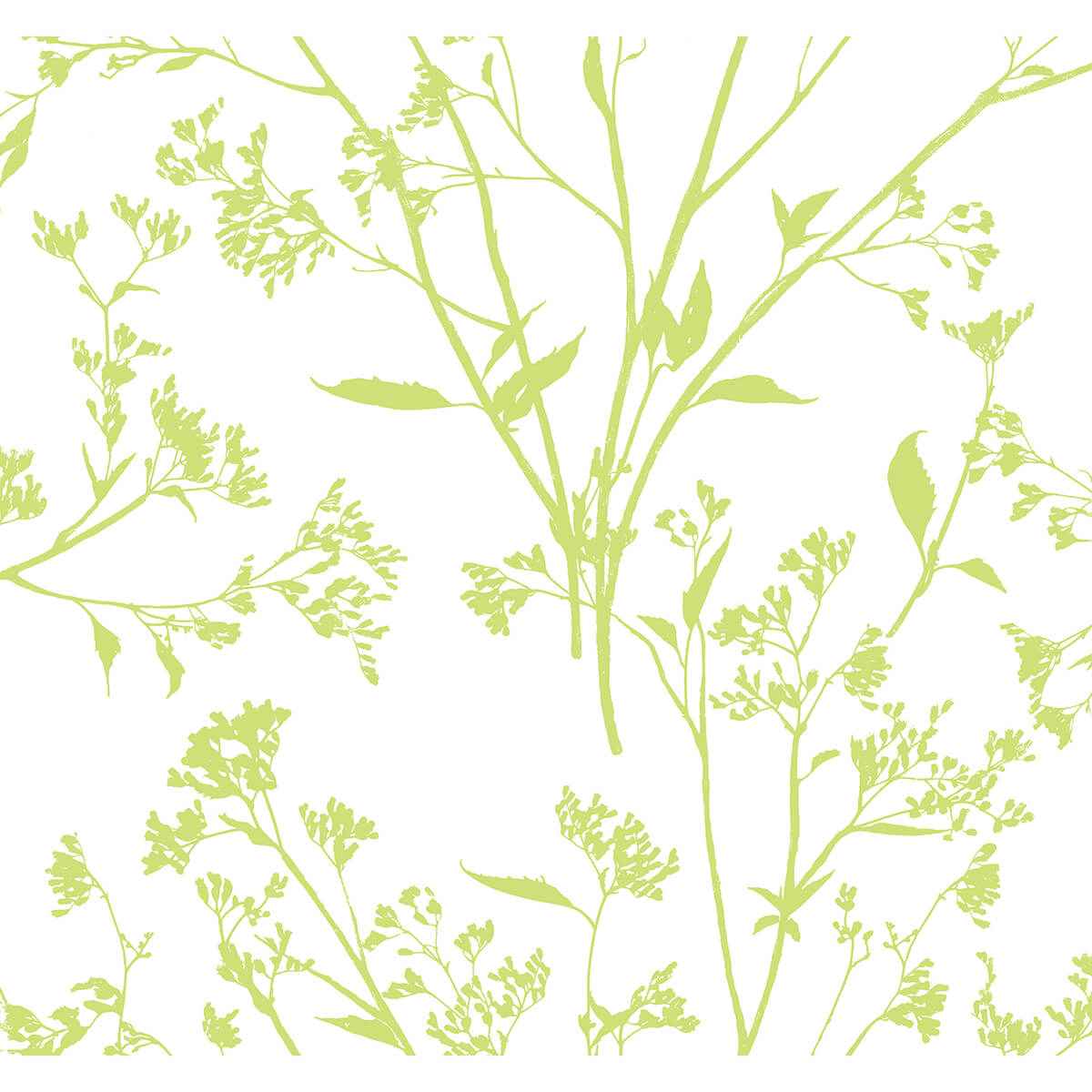 Southport Chartreuse Delicate Branches Wallpaper - York Wallcoverings - 2927-80704 - York Wallcoverings Wallpaper