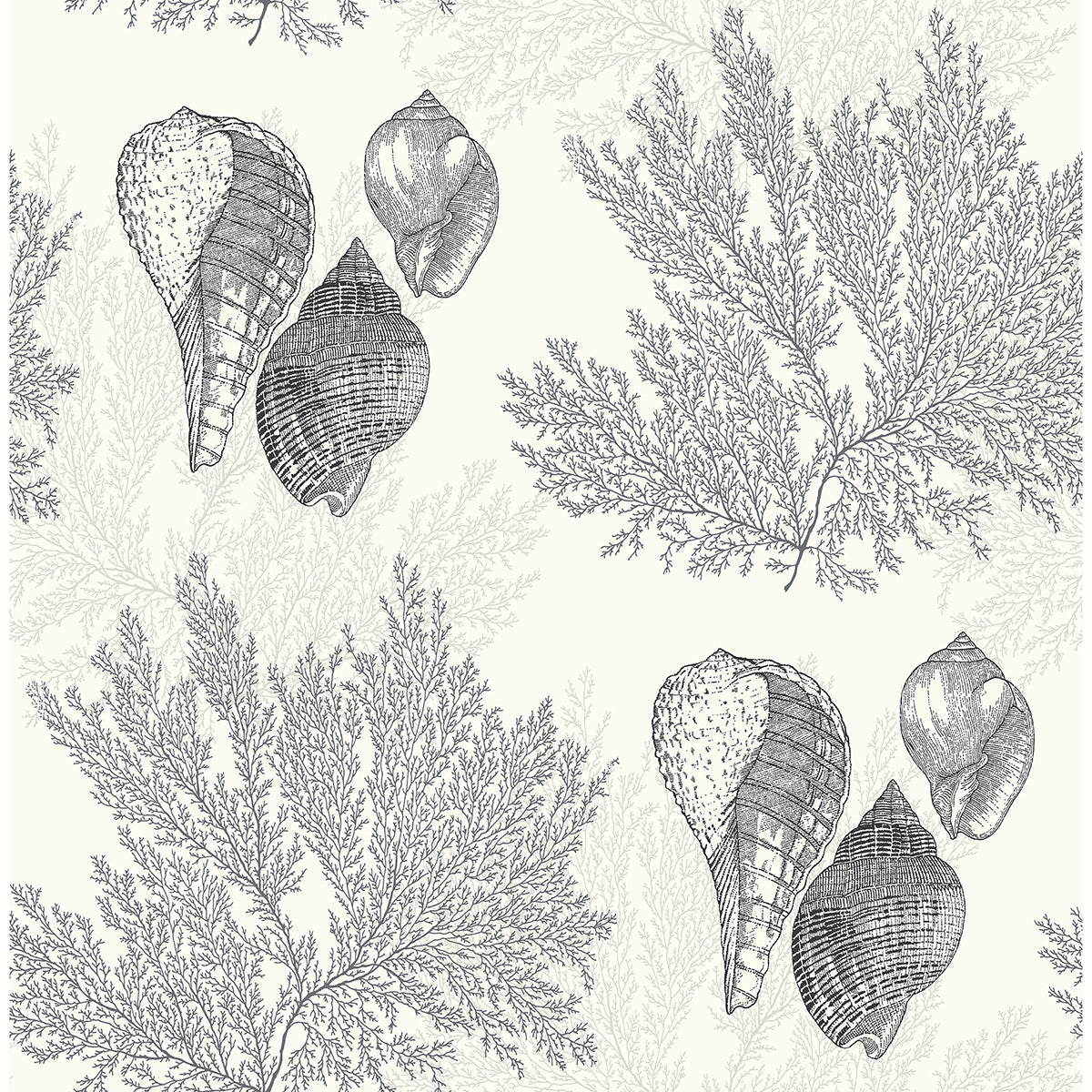 nauset-black-seashell-shores-wallpaper-york-wallcoverings-2927-81200