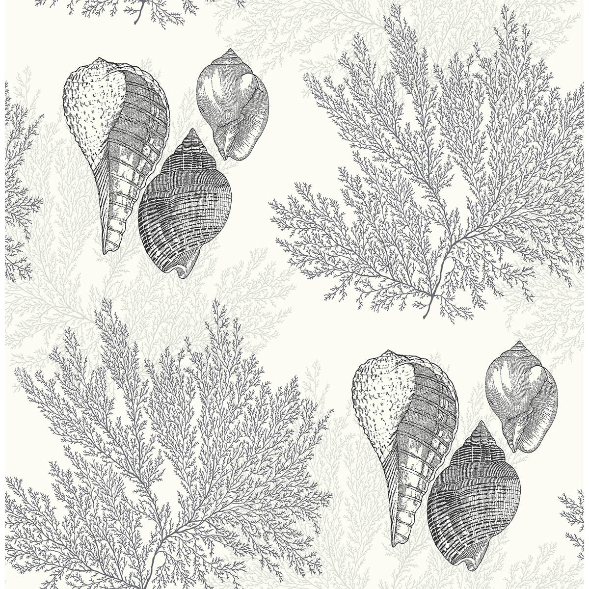 nauset-black-seashell-shores-wallpaper-york-wallcoverings-2927-81200 - York Wallcoverings Wallpaper