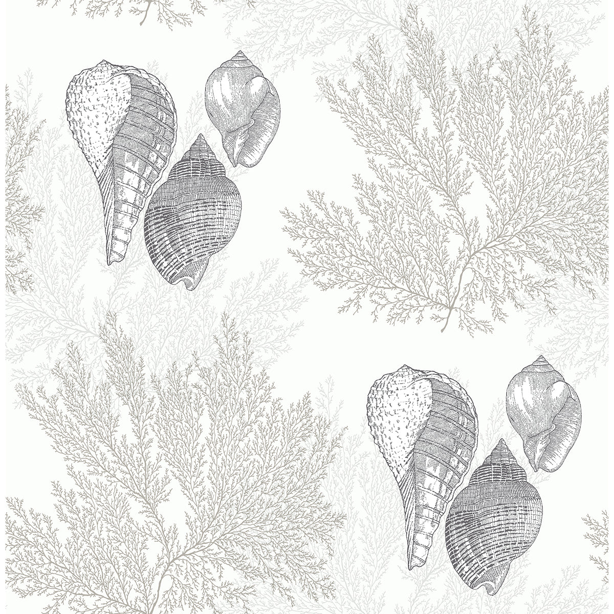 nauset-cream-seashell-shores-wallpaper-york-wallcoverings-2927-81205