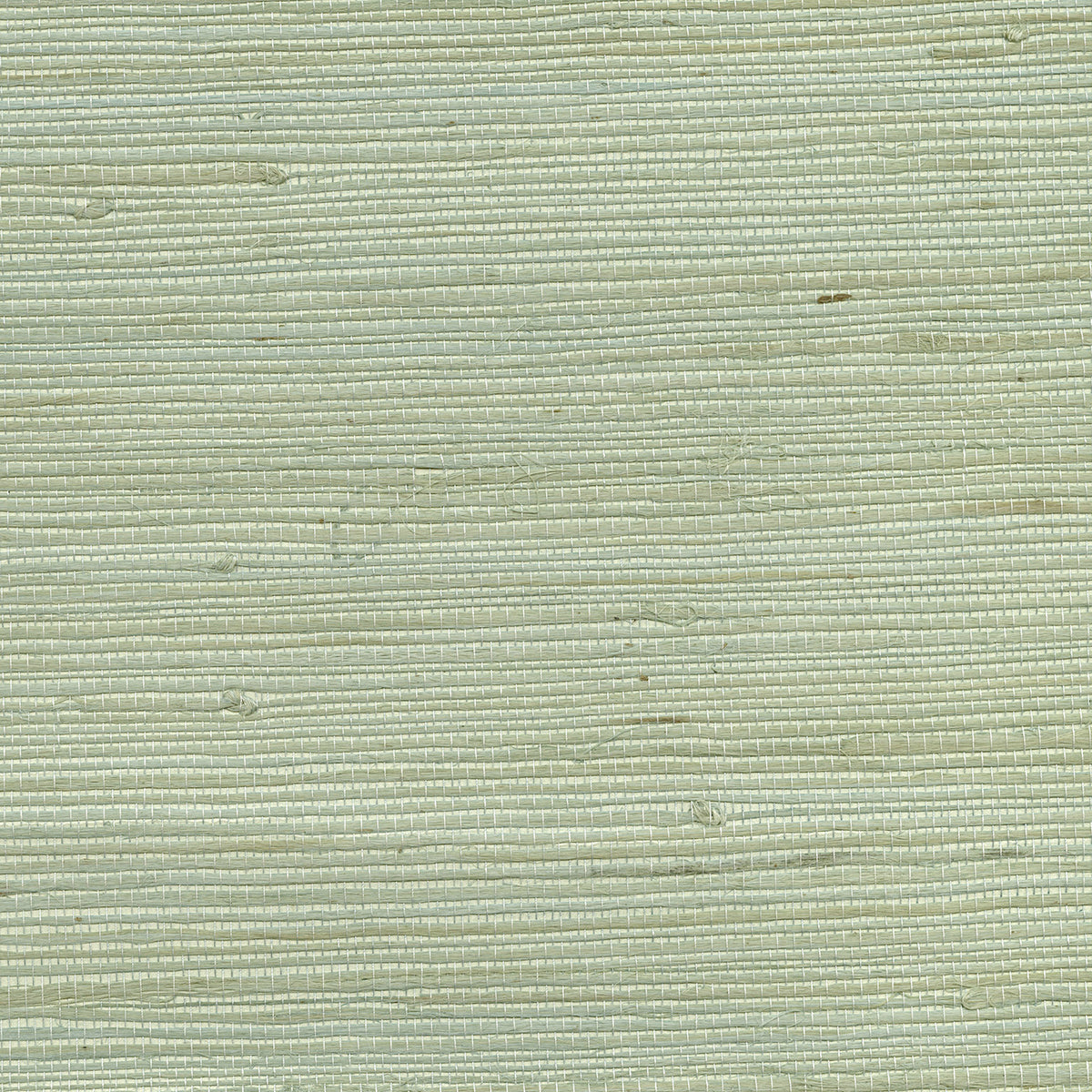 kimi-light-green-grasscloth-wallpaper-york-wallcoverings-63-65609