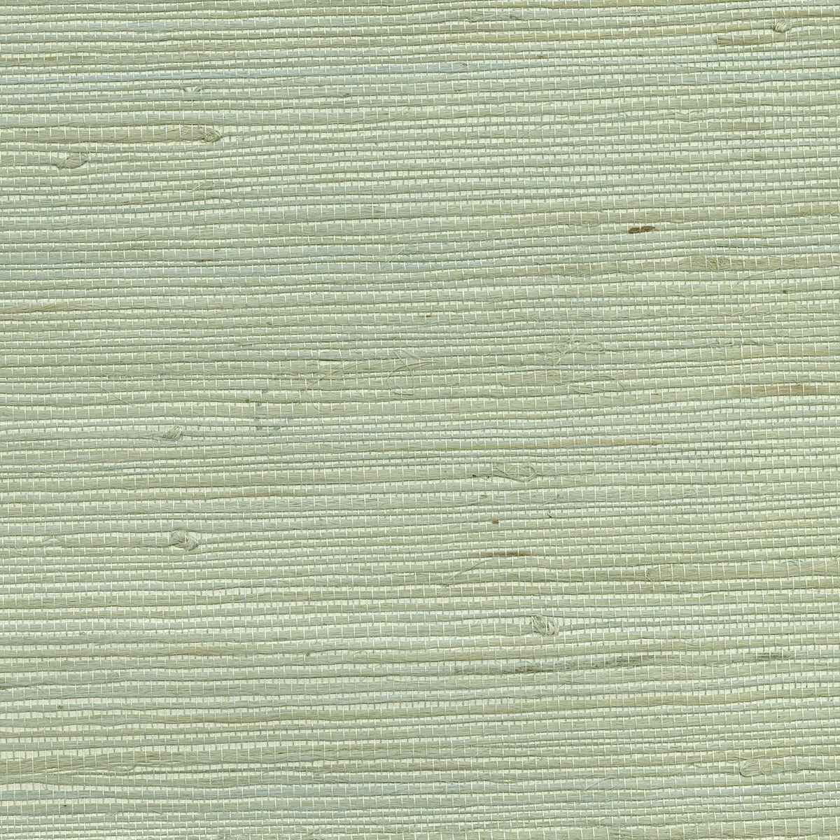 Kiyoshi Light Green Grasscloth Wallpaper - York Wallcoverings - 53-65609 - York Wallcoverings Wallpaper