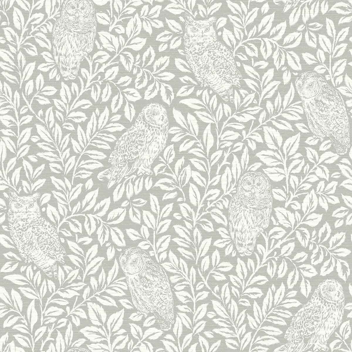 Parliament Grey Owl Wallpaper - York Wallcoverings - 3123-12411 - York Wallcoverings Wallpaper
