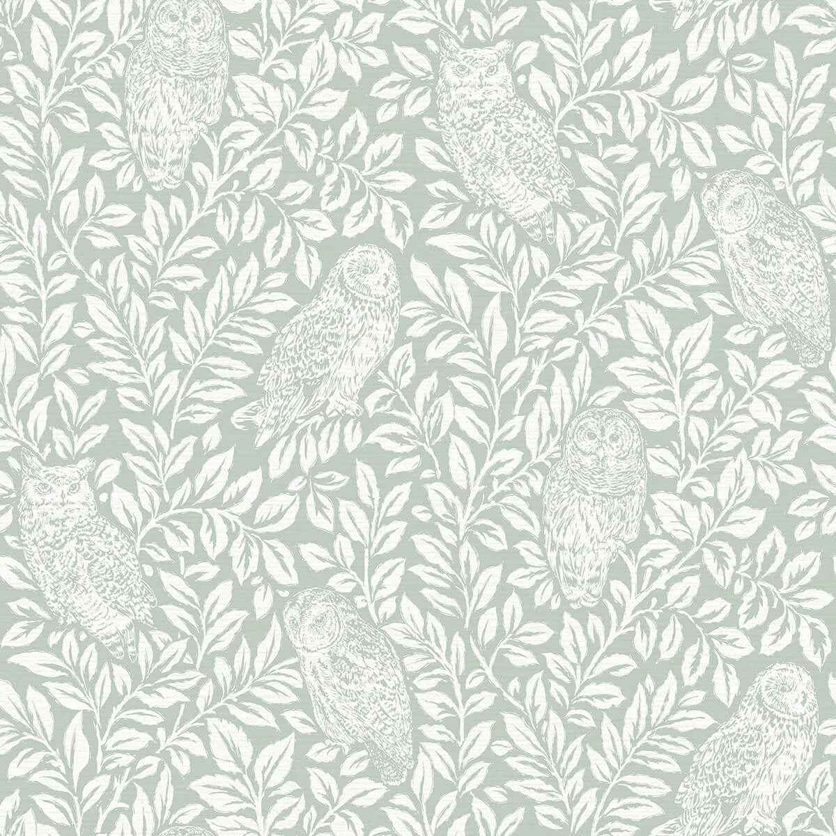 Parliament Seafoam Owl Wallpaper - York Wallcoverings - 3123-12414