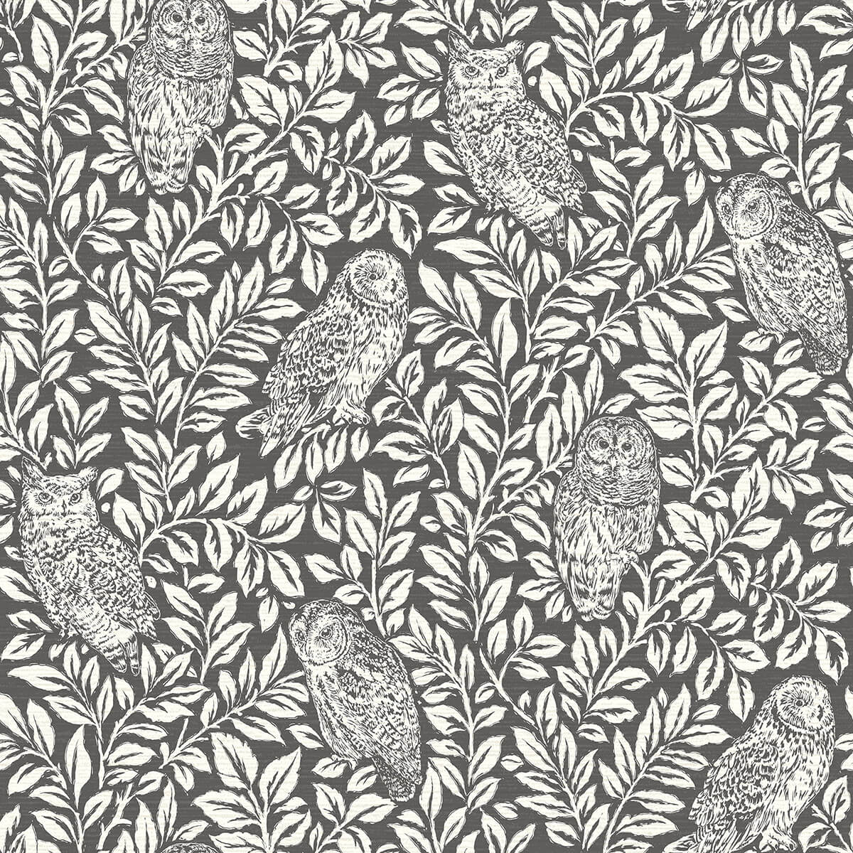 parliament-charcoal-owl-wallpaper-york-wallcoverings-3123-12415 - York Wallcoverings Papel pintado