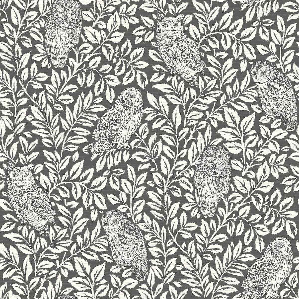 Parliament Charcoal Owl Wallpaper - York Wallcoverings - 3123-12415 - York Wallcoverings Wallpaper