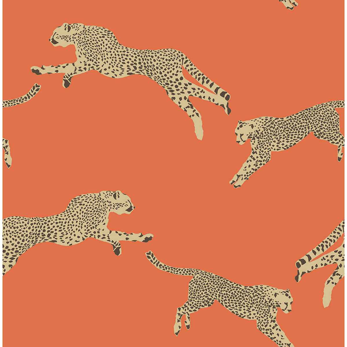 Clementine Leaping Cheetah Peel & Stick - York Wallcoverings - SCS4275 - York Wallcoverings Wallpaper