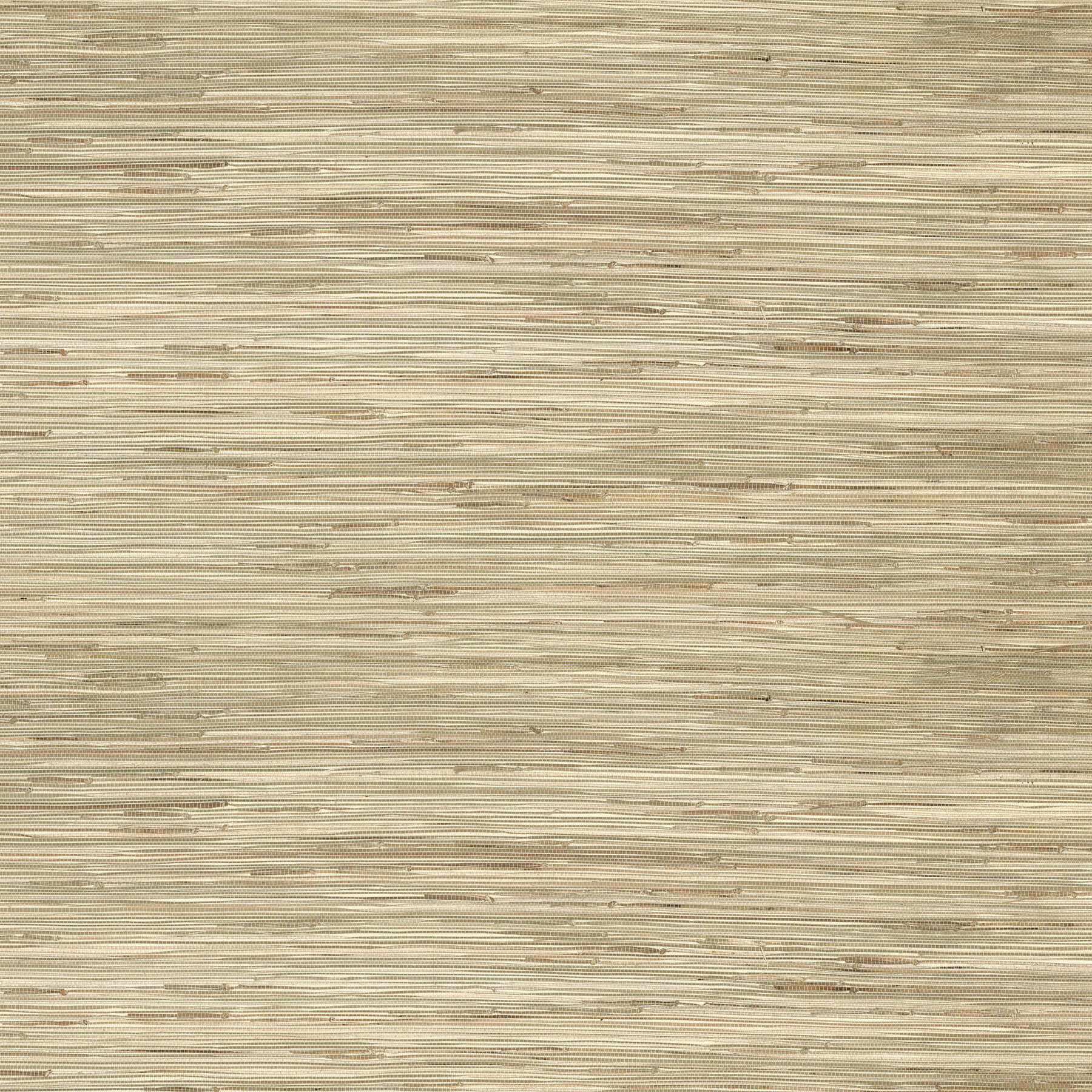 sogen-neutral-knotted-grasscloth-wallpaper-york-wallcoverings-2923-65621 - York Wallcoverings Wallpaper