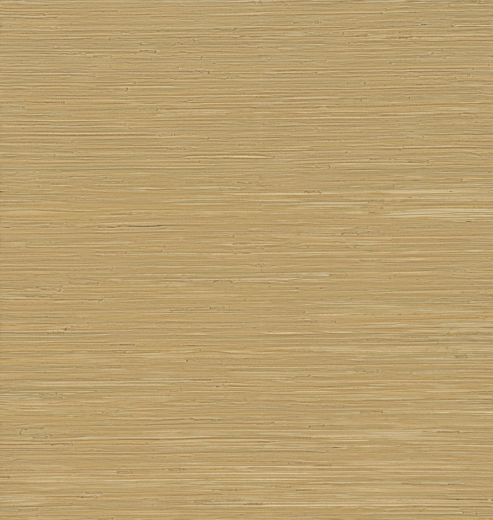 zhilan-olive-grasscloth-wallpaper-york-wallcoverings-2923-88045 - York Wallpaper Wallpaper