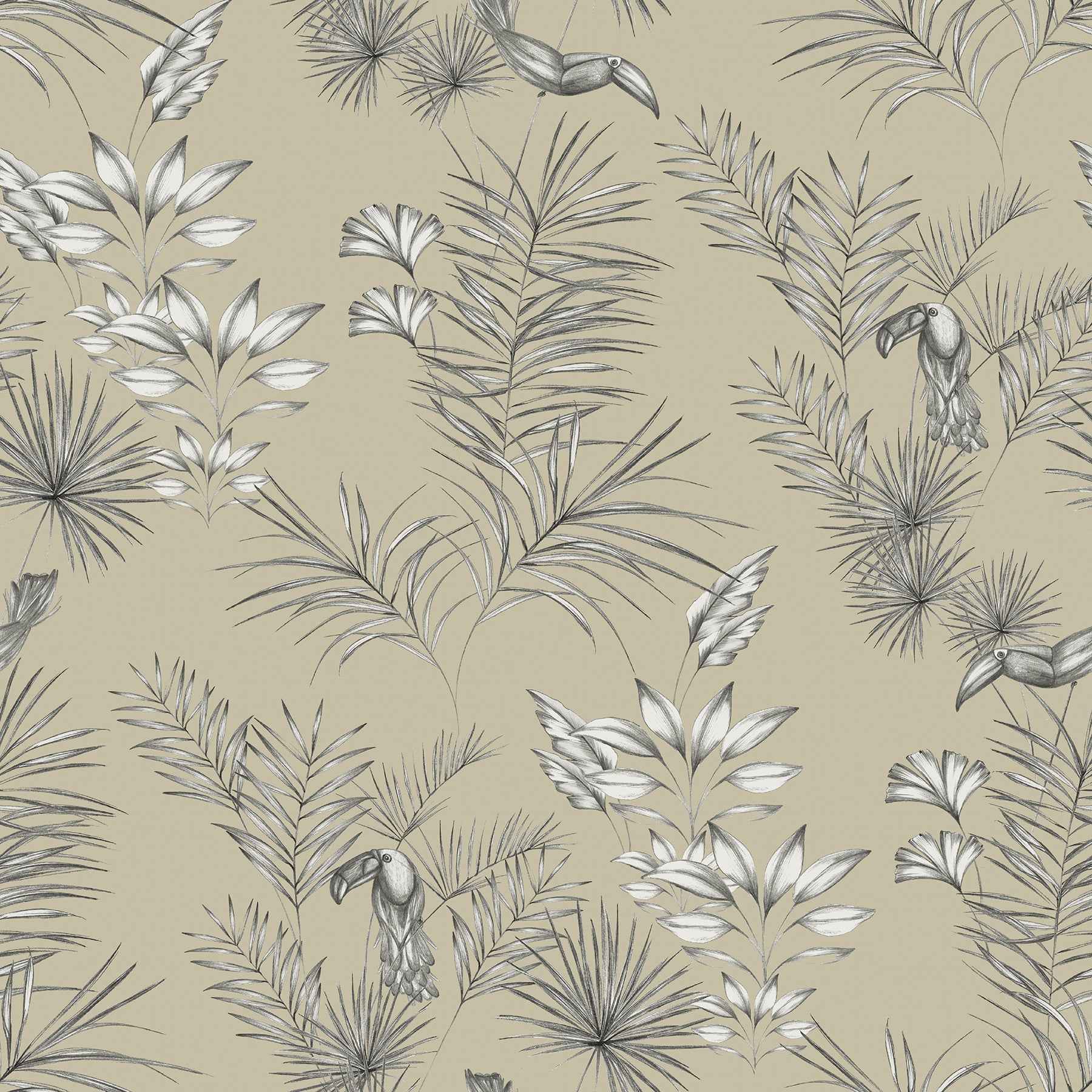 Shelly Grey Toucan Toile Wallpaper - York Wallcoverings - WLD53112W - York Wallcoverings Wallpaper