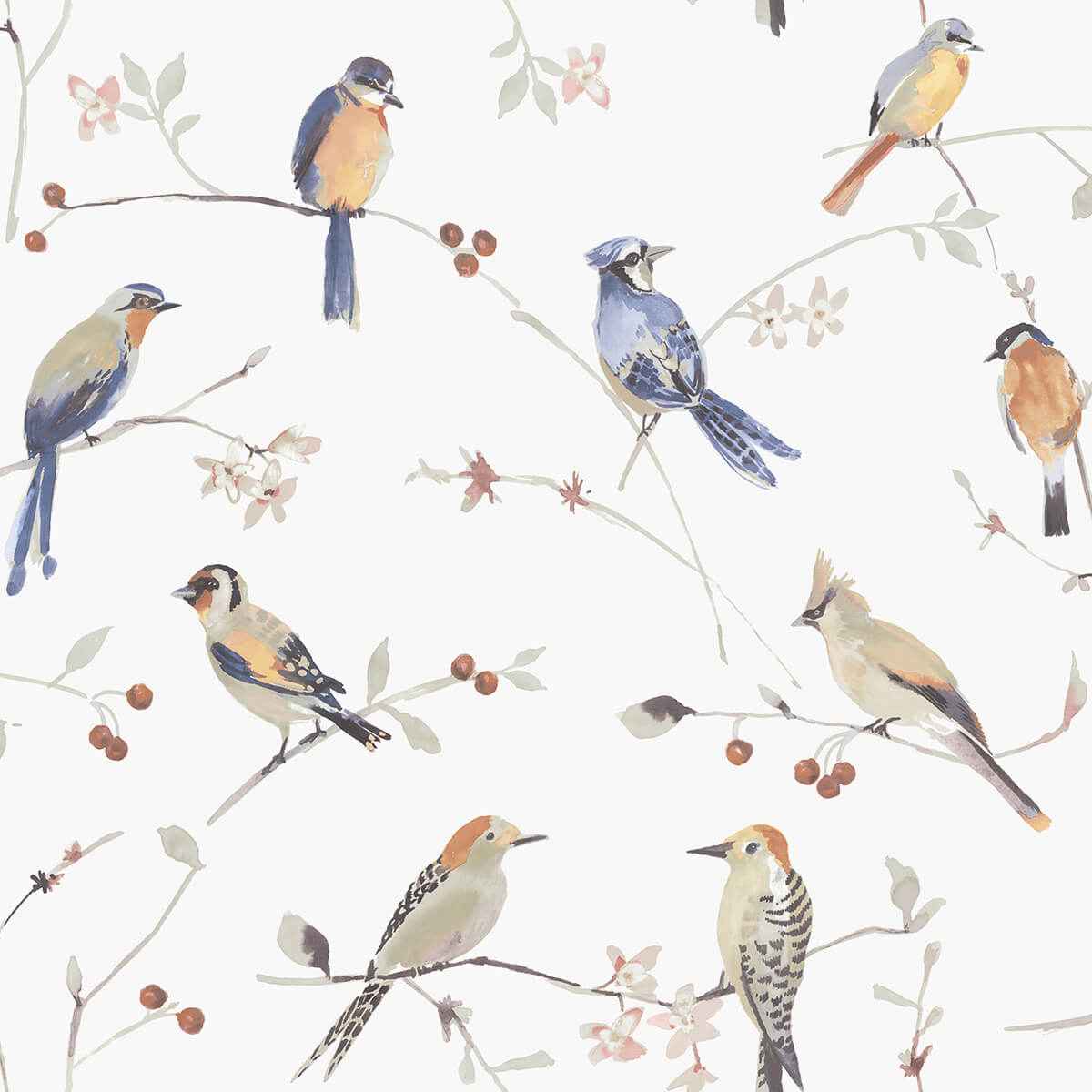 Birdsong Orange Trail Wallpaper - York Wallcoverings - 3124-13851 - York Wallcoverings Wallpaper