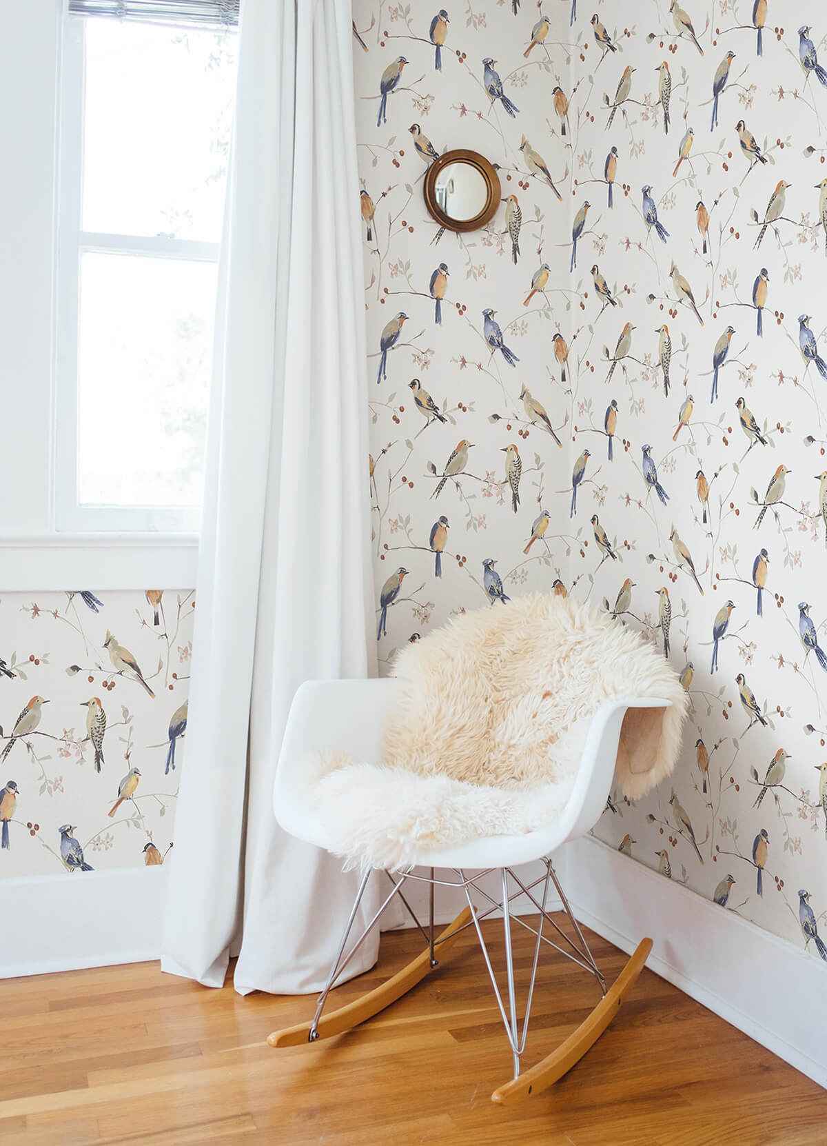 birdsong-orange-trail-wallpaper-york-wallcoverings-3124-13851 - York Wallcoverings Wallpaper