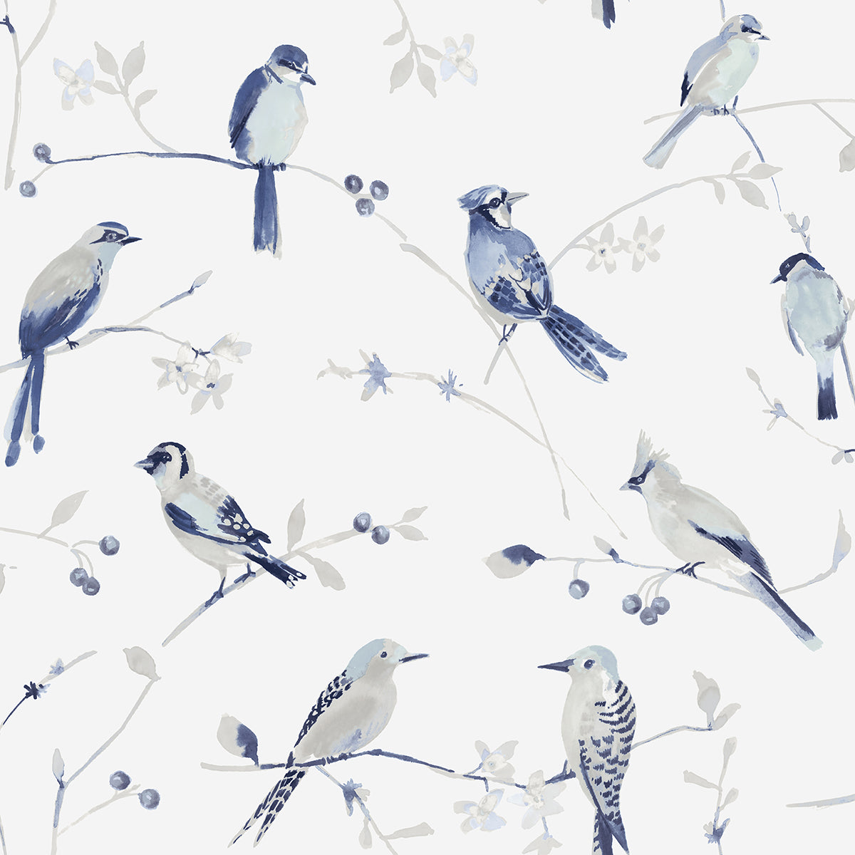 birdsong-blue-trail-wallpaper-york-wallcoverings-3124-13852