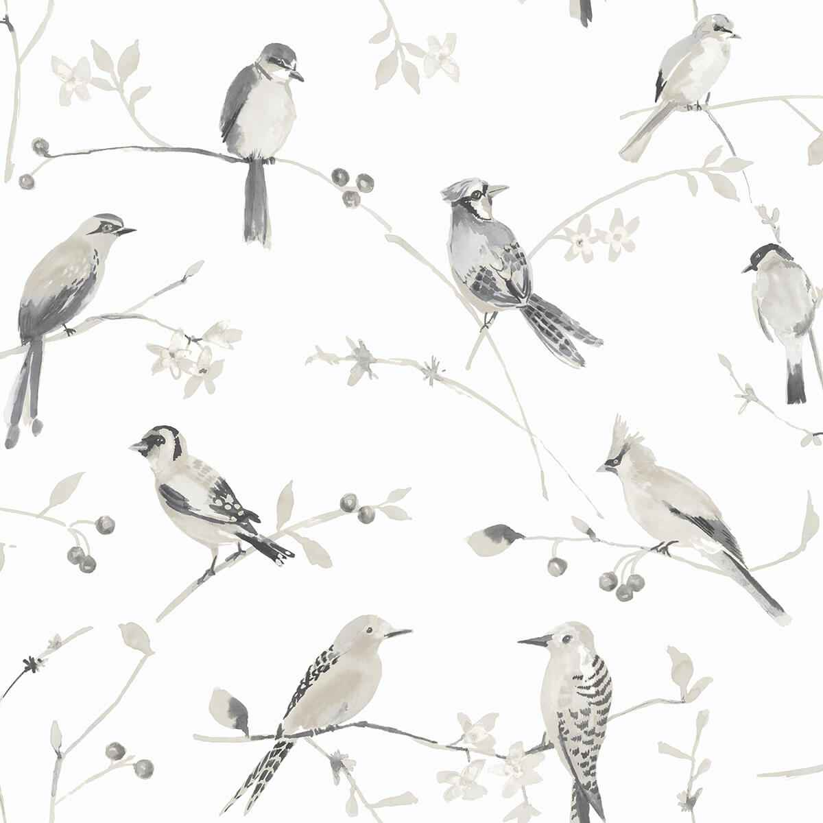 birdsong-grey-trail-wallpaper-york-wallcoverings-3124-13853 - York Wallcoverings Wallpaper