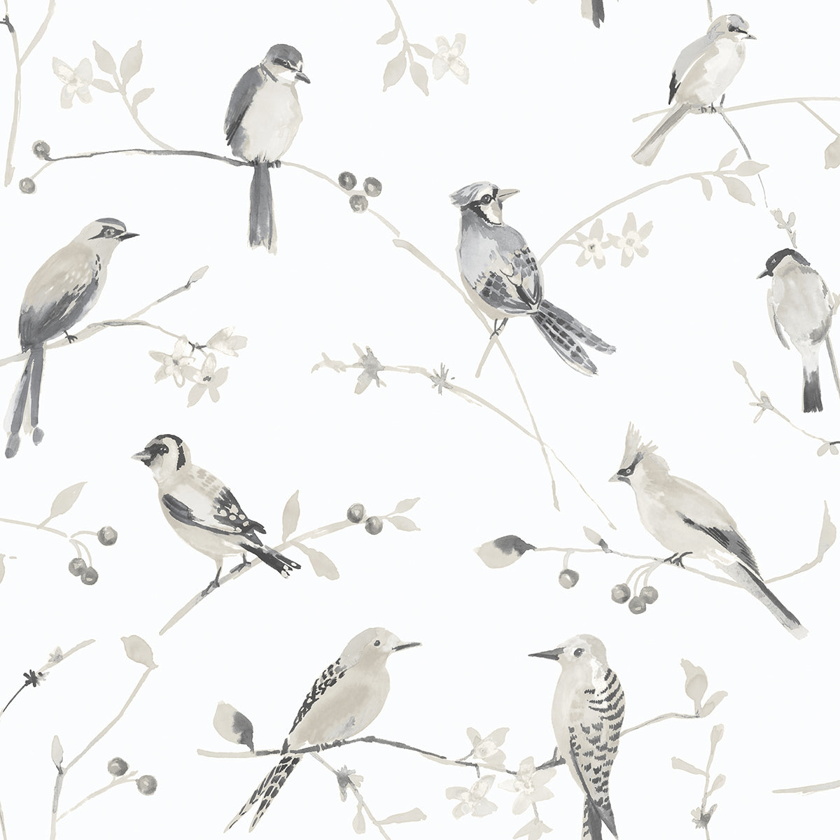 birdsong-grey-trail-wallpaper-york-wallcoverings-3124-13853