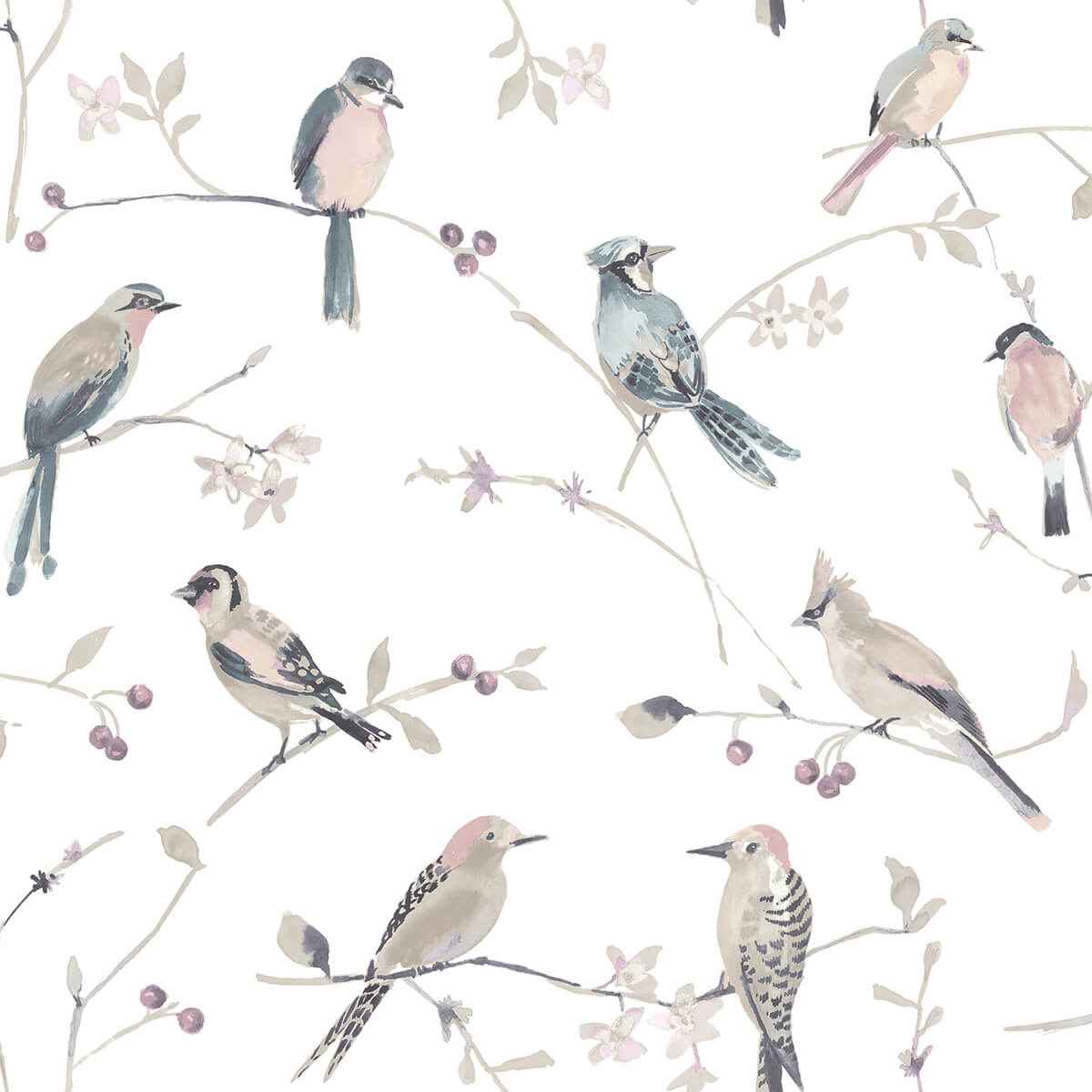 Birdsong Mauve Trail Wallpaper - York Wallcoverings - 3124-13854 - York Wallcoverings Wallpaper