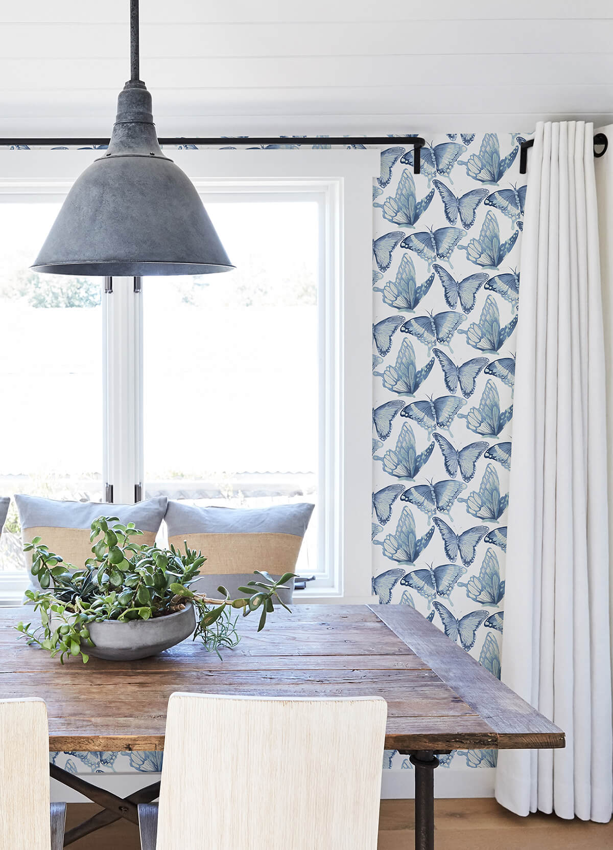 janetta-blue-butterfly-wallpaper-york-wallcoverings-3124-13932 - York Wallcoverings Wallpaper