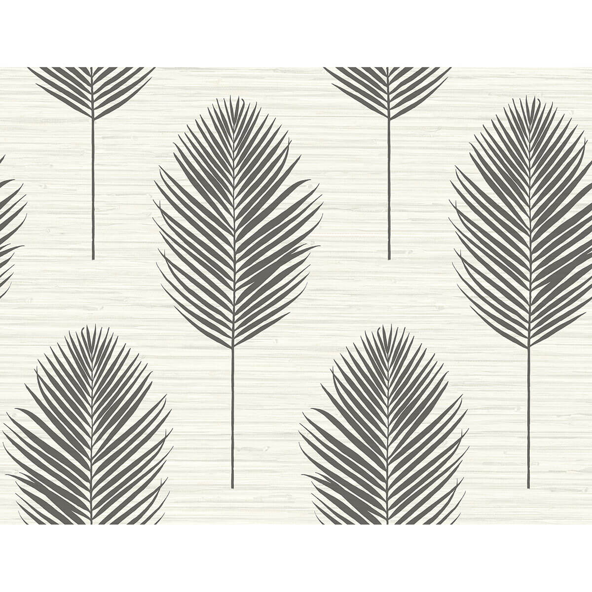 bali-black-fern-wallpaper-york-wallcoverings-2988-70210 - York Wallcoverings Papel pintado