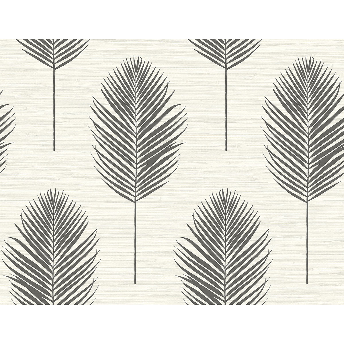 bali-black-fern-wallpaper-york-wallcoverings-2988-70210
