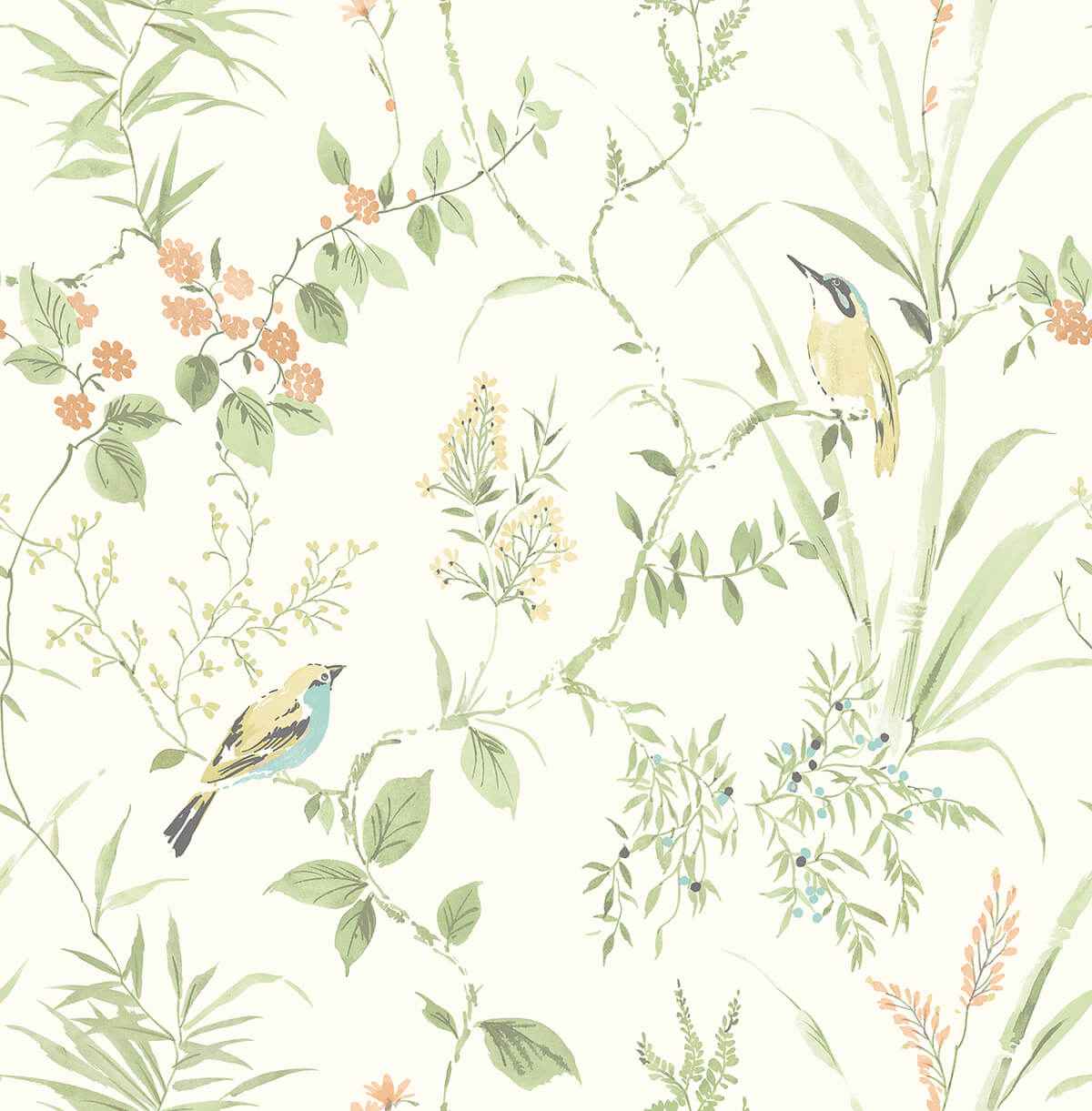 Sage Songbird Peel and Stick Wallpaper - York Wallcoverings - NUS4470 - York Wallcoverings Wallpaper