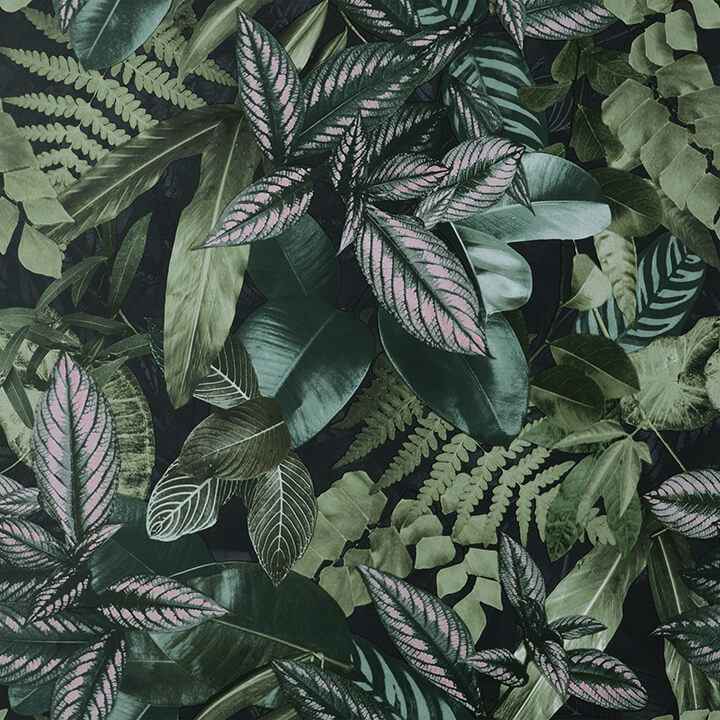 Green Living Wall Peel and Stick Wallpaper - York Wallcoverings - NHS4778 - York Wallcoverings Wallpaper