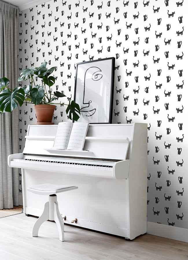Delia Black Kitty Wallpaper - York Wallcoverings - 4060-138928 - York Wallcoverings Wallpaper