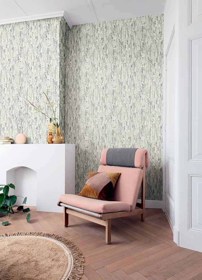 Colm Charcoal Birch Wallpaper - York Wallcoverings - 4096-554045 - York Wallcoverings Wallpaper