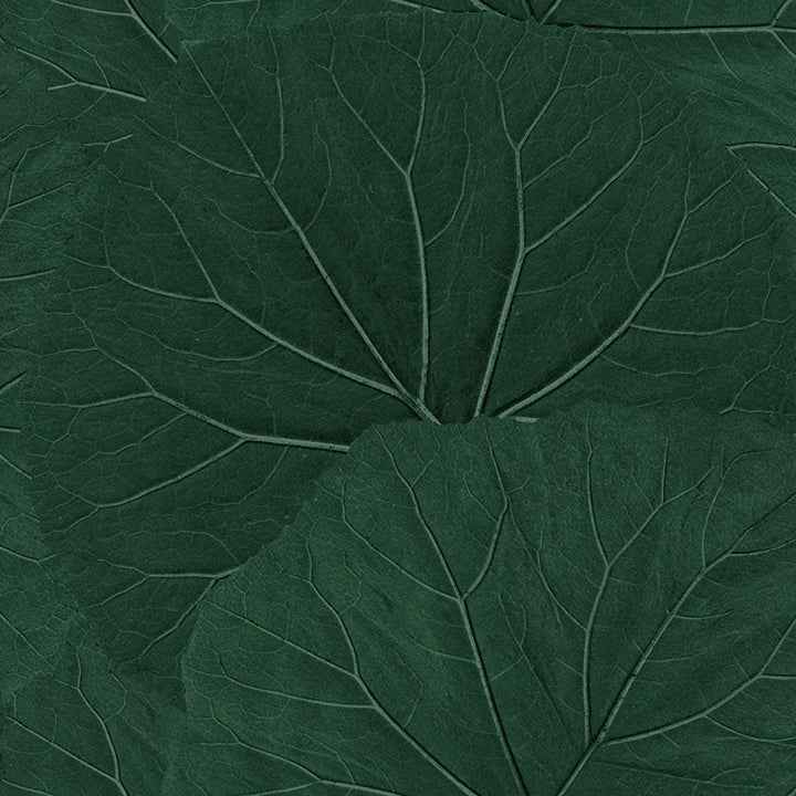 Xylem Evergreen Large Leaves Wallpaper - York Wallcoverings - DD138997