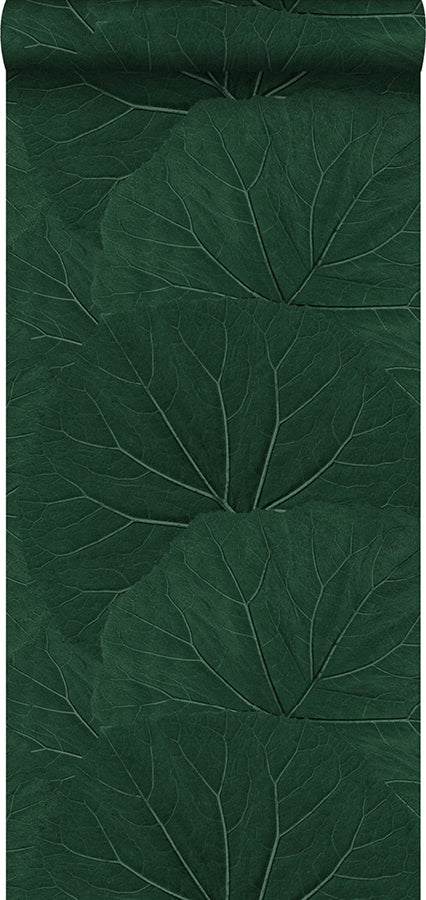 xylem-evergreen-large-leaves-wallpaper-york-wallcoverings-dd138997 - York Wallcoverings Papel pintado