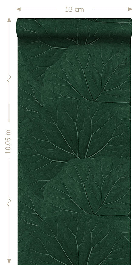 xylem-evergreen-large-leaves-wallpaper-york-wallcoverings-dd138997 - York Wallcoverings Papel pintado