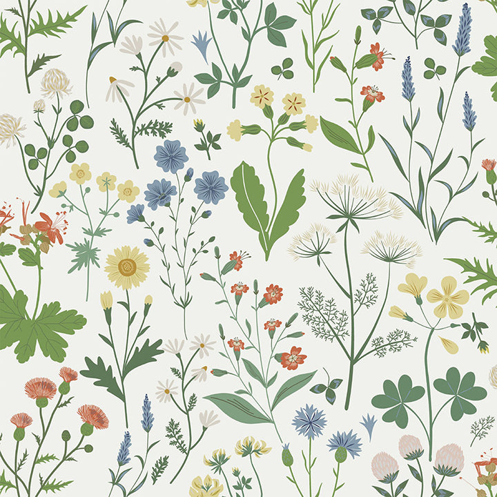 fiore-green-wildflowers-wallpaper-york-wallcoverings-dd139390 - York Wallpaper Wallpaper