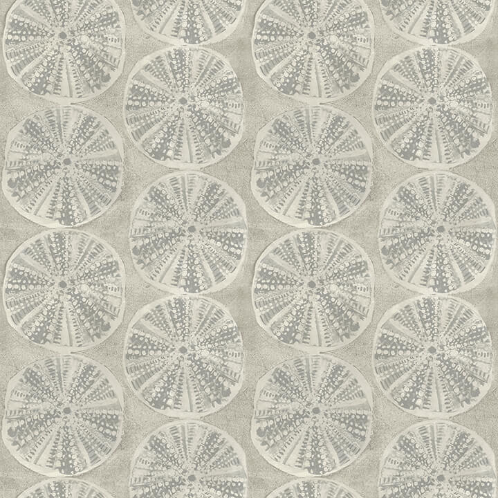 sea-biscuit-grey-sand-dollar-wallpaper-york-wallcoverings-4071-71024 - York Wallcoverings Wallpaper