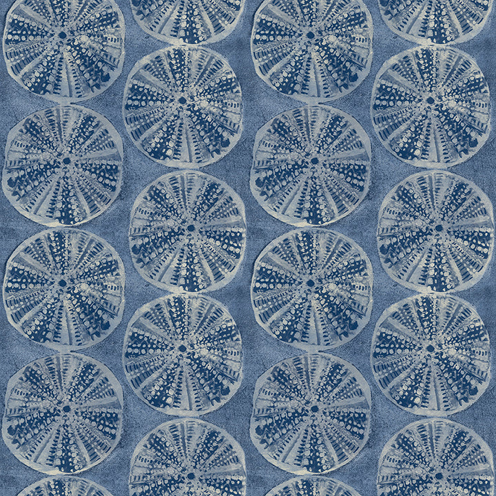 sea-biscuit-blue-sand-dollar-wallpaper-york-wallcoverings-4071-71025