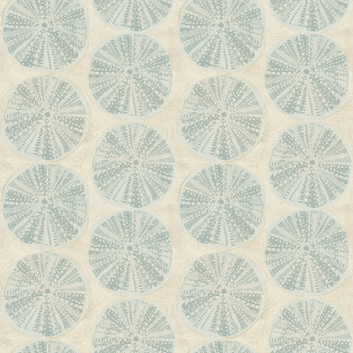 sea-biscuit-aqua-sand-dollar-wallpaper-york-wallcoverings-4071-71028