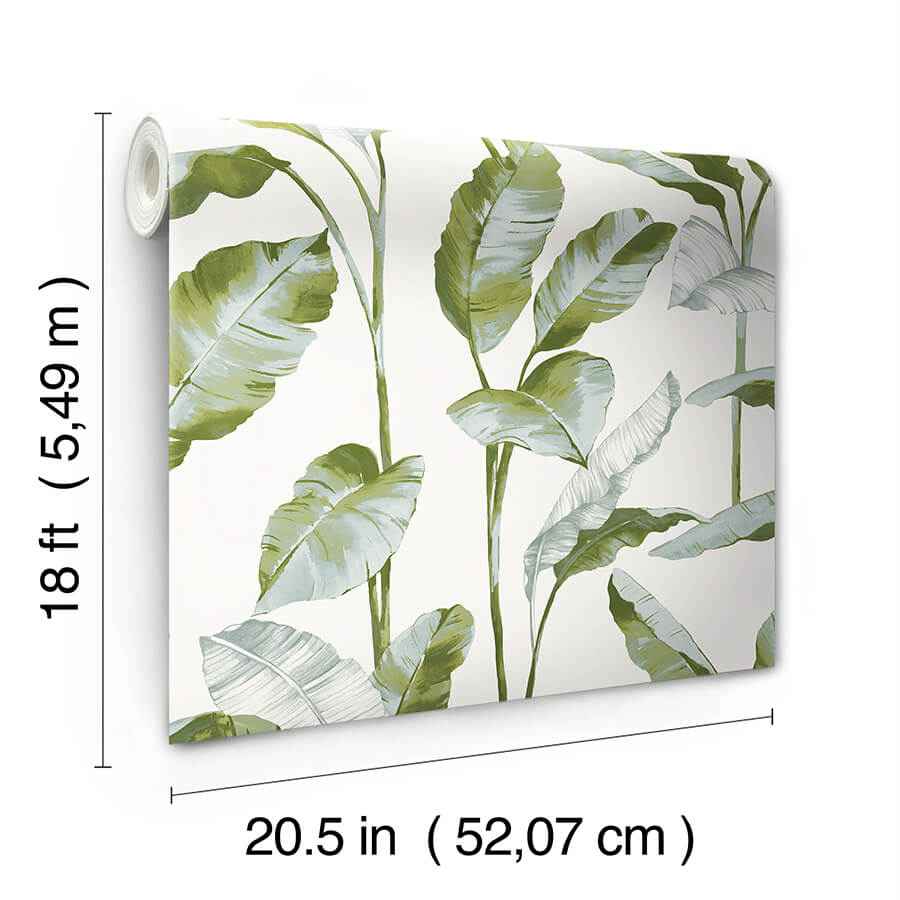 Green Banana Leaf Peel and Stick Wallpaper - York Wallcoverings - NUS4903 - York Wallcoverings Wallpaper