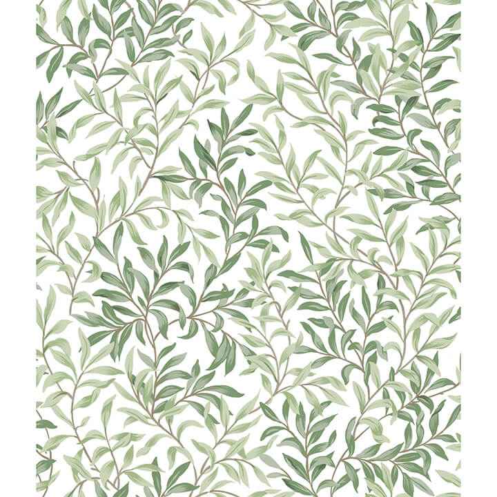Herb Green Terrace Vines Peel and Stick Wallpaper - York Wallcoverings - NUS6101 - York Wallcoverings Wallpaper