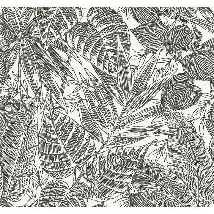 brentwood-black-palm-leaves-wallpaper-york-wallcoverings-4034-72115 - York Wallcoverings Wallpaper
