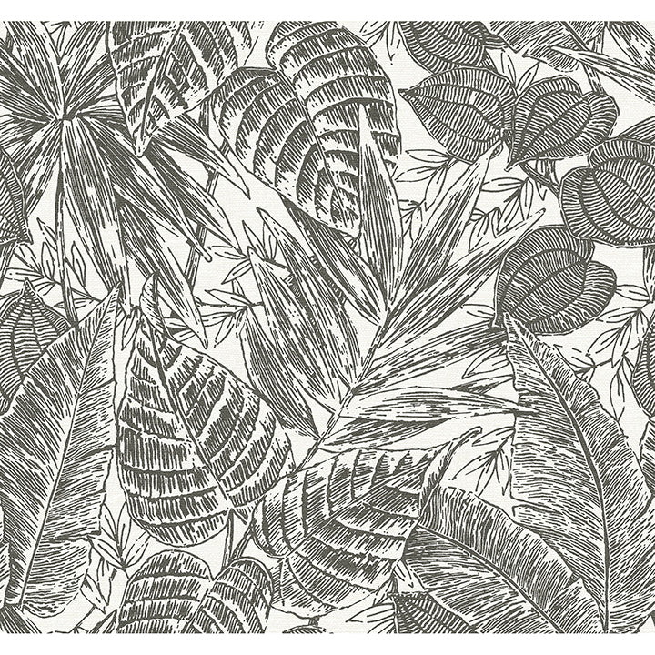brentwood-black-palm-leaves-wallpaper-by-scott-living-york-wallcoverings