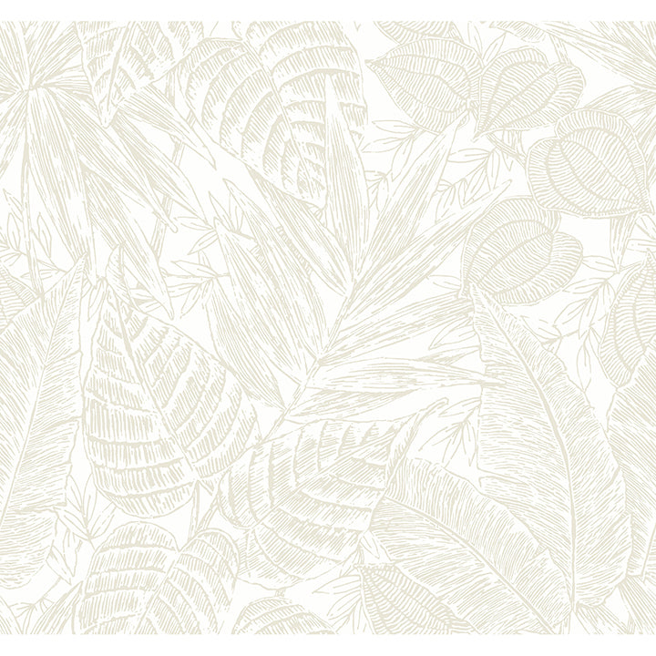 brentwood-bone-palm-leaves-wallpaper-by-scott-living-york-wallcoverings