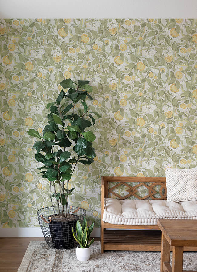 kort-sage-fruit-and-floral-wallpaper-york-wallcoverings-4143-22025 - York Wallcoverings Wallpaper