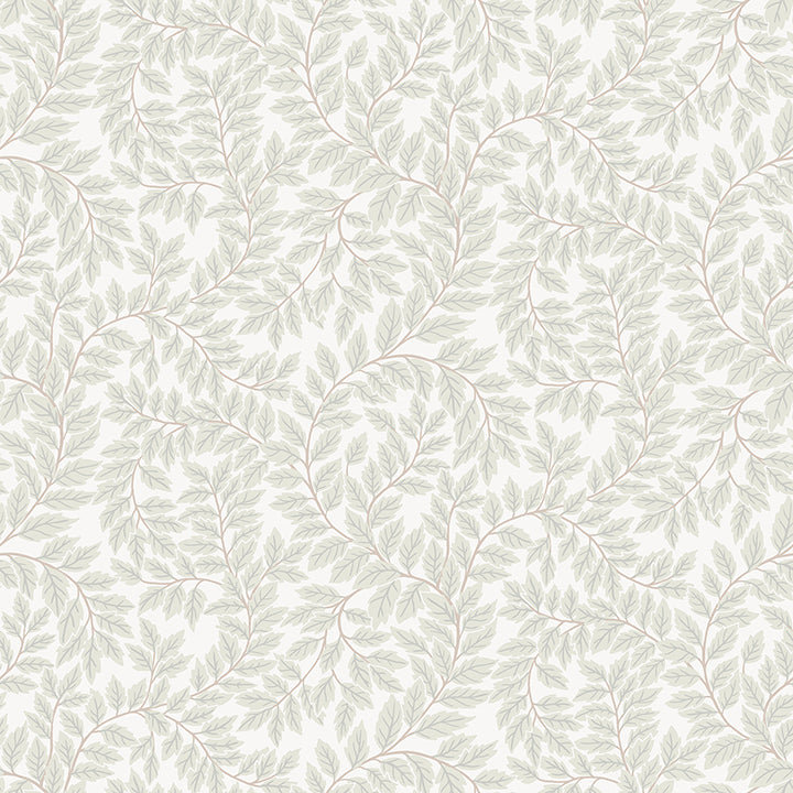 lindlv-light-grey-leafy-vines-wallpaper-york-wallcoverings-4143-34017