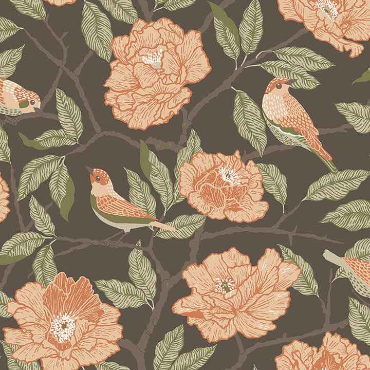 Bernadina Black Rosebush Wallpaper - York Wallcoverings - 4143-34026 - York Wallcoverings Wallpaper