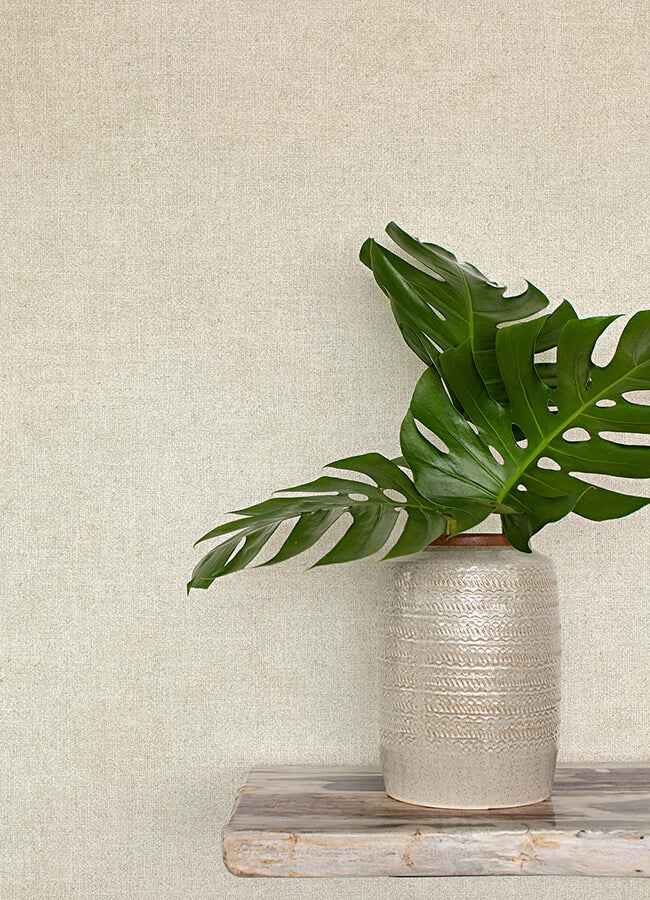 Homespun Dove Textured Wallpaper - York Wallcoverings - 3125-72359 - York Wallcoverings Wallpaper