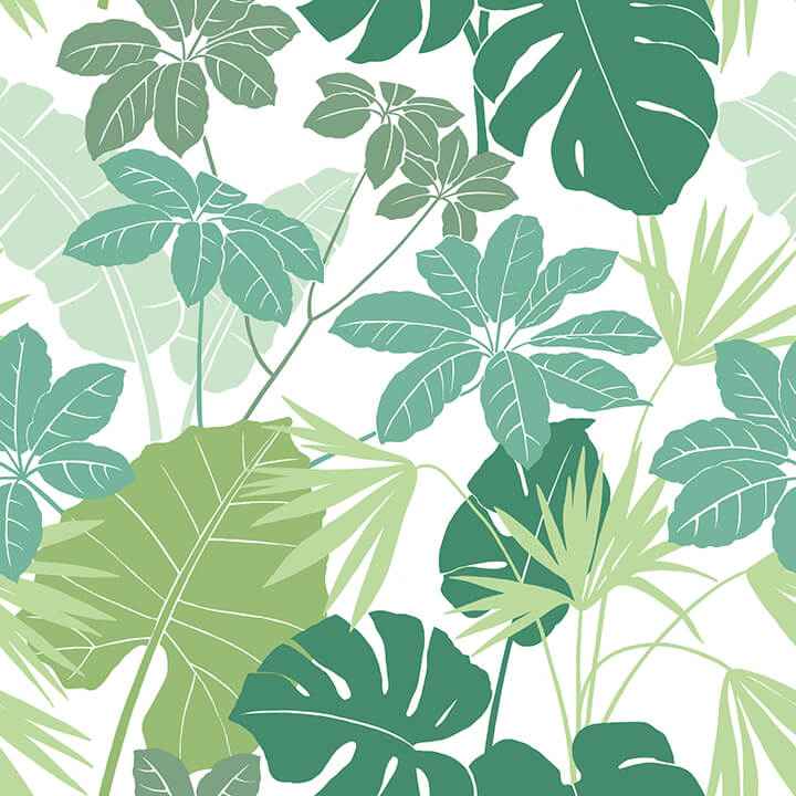 medellin-green-rainforest-floor-wallpaper-york-wallcoverings-4122-72409 - York Wallcoverings Wallpaper