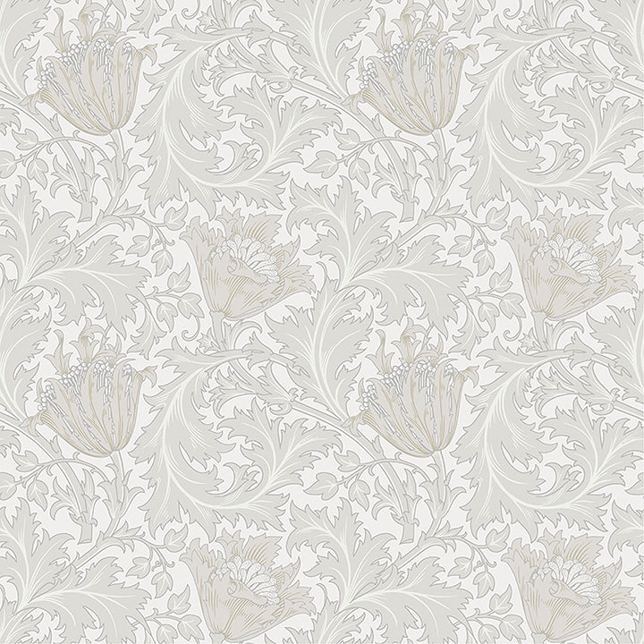 anemone-dove-floral-trail-wallpaper-york-wallcoverings-4153-82001