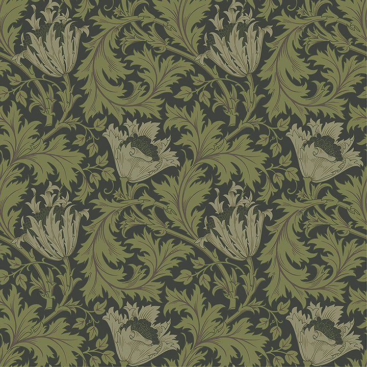 anemone-dark-green-floral-trail-wallpaper-york-wallcoverings-4153-82005