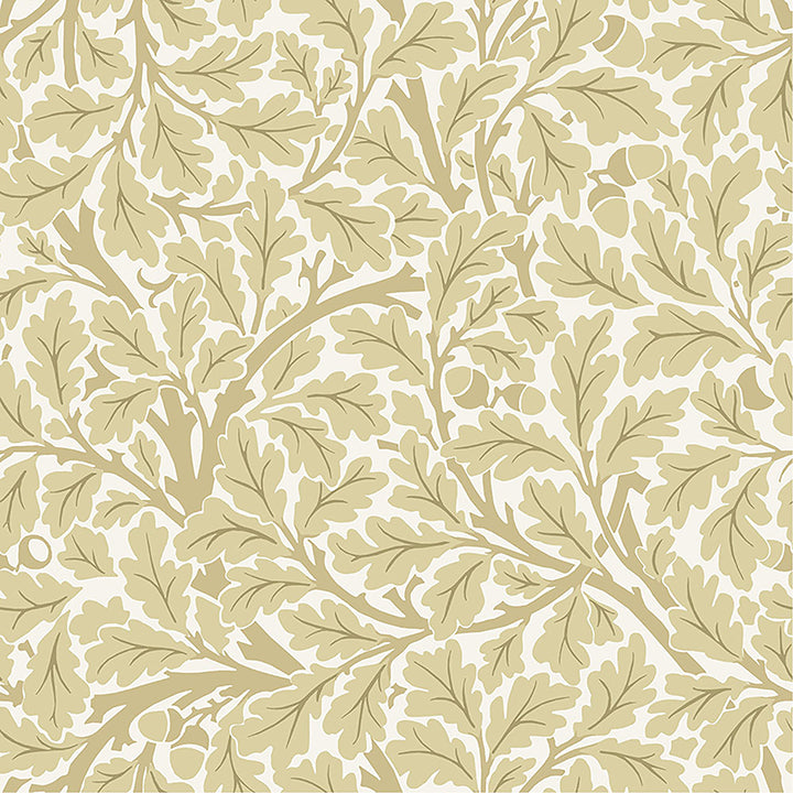 oak-tree-light-yellow-leaf-wallpaper-york-wallcoverings-4153-82027