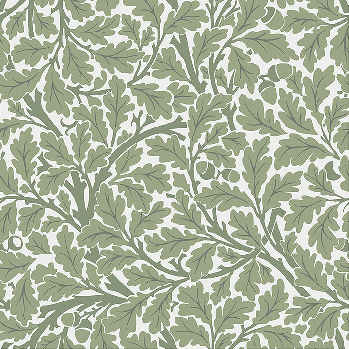 oak-tree-green-leaf-wallpaper-york-wallcoverings-4153-82028