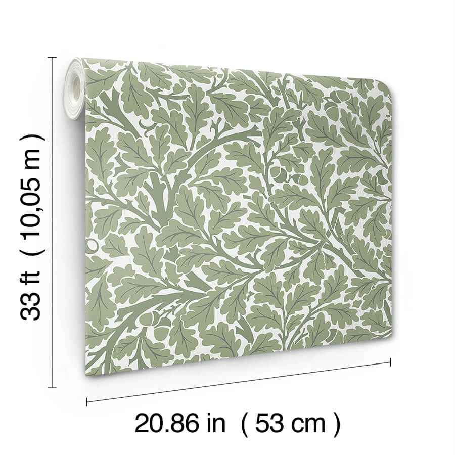 Oak Tree Green Leaf Wallpaper - York Wallcoverings - 4153-82028 - York Wallcoverings Wallpaper