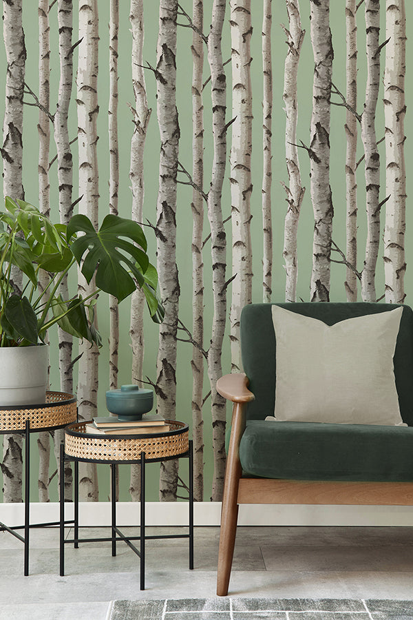 chester-sage-birch-trees-wallpaper-york-wallcoverings-fd43291 - York Wallcoverings Wallpaper